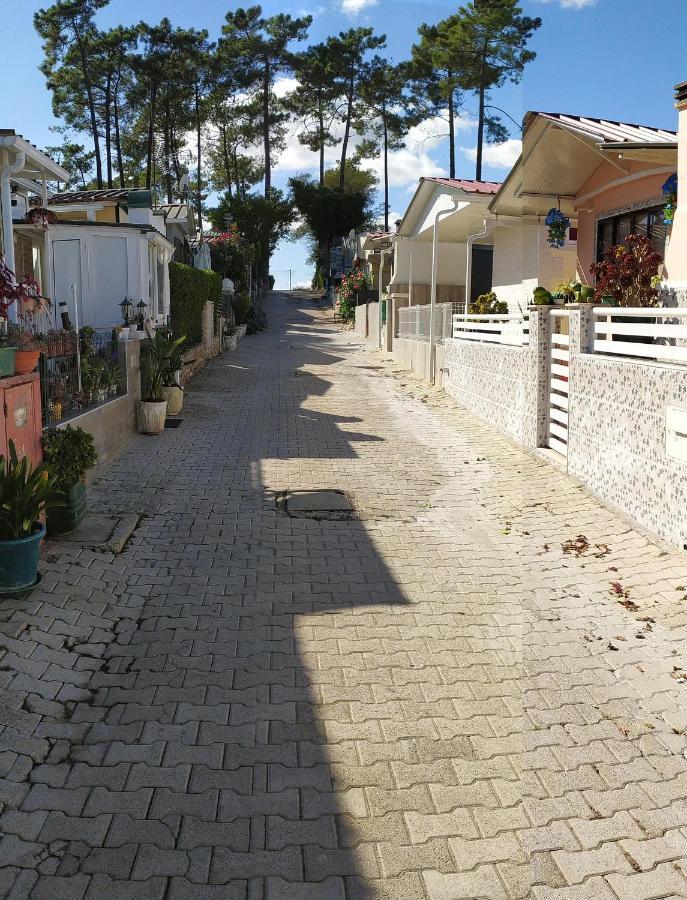 Residencial T2 No Parque *